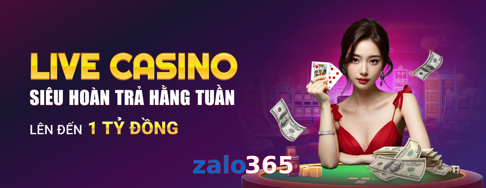 zalo365