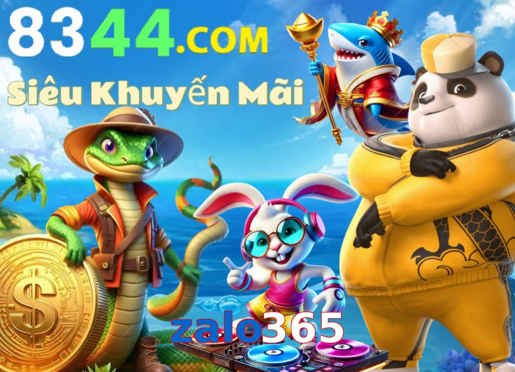 zalo365